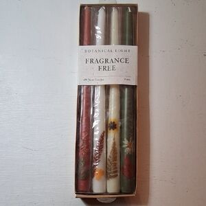 Fragrance Free Taper Candles - Mixed Autumn Colors
